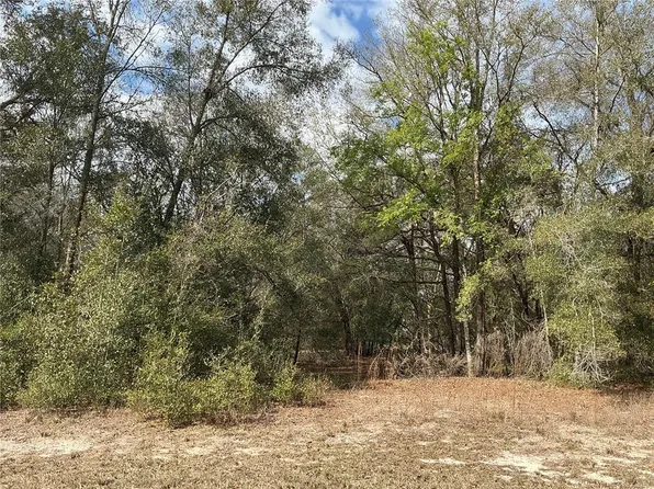 9299 Goodstone Dr Lot 9, Webster, FL 33597