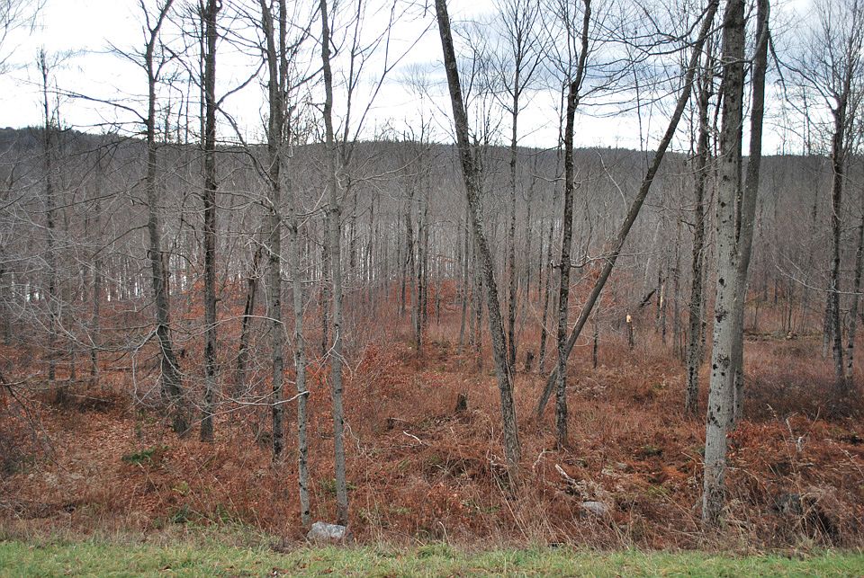 1st image of Lot 66 - The Woods At Duck Harbor