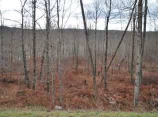 The Woods At Duck Hbr LOT 66, Equinunk, PA 18417