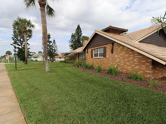 3rd image of 1 Ligustrum Cir
