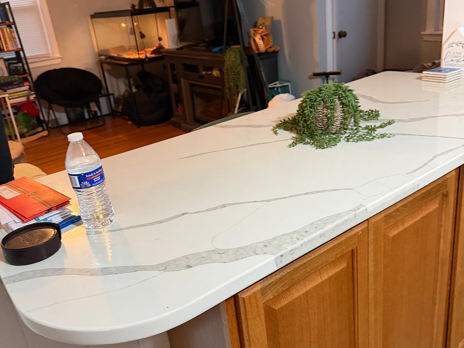 2 bed, $2,350 — Photo 2