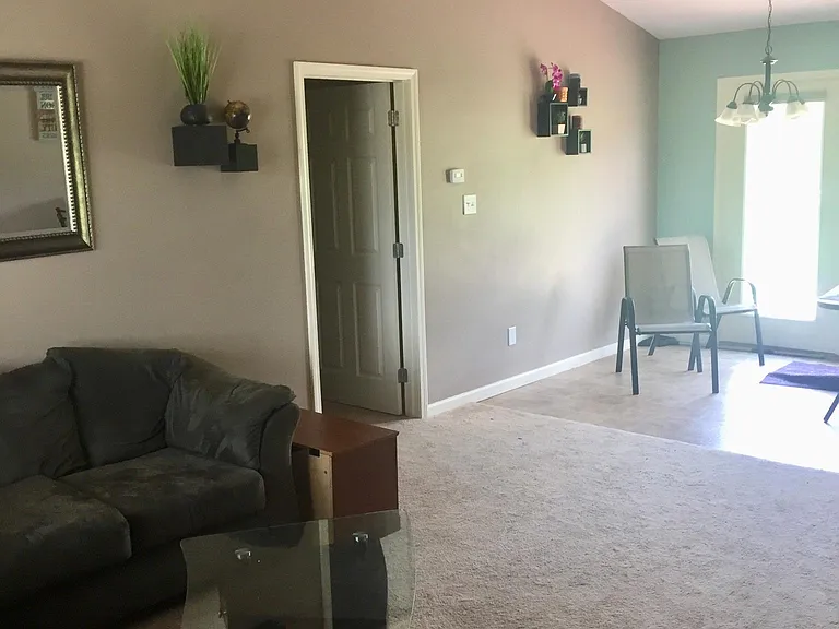 1207 Swan Pond Ln — Photo 7