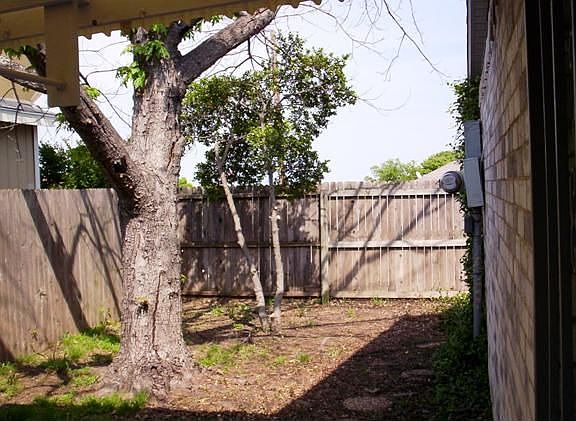 Backyard garden area