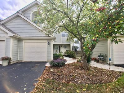155 W Hamilton Dr, Palatine, IL, 60067