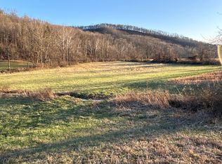 0 Millers Run Fallen Timber Rd, Lucasville, OH 45648