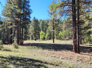 Sawmill Canyon Rd, Ramah, NM 87321
