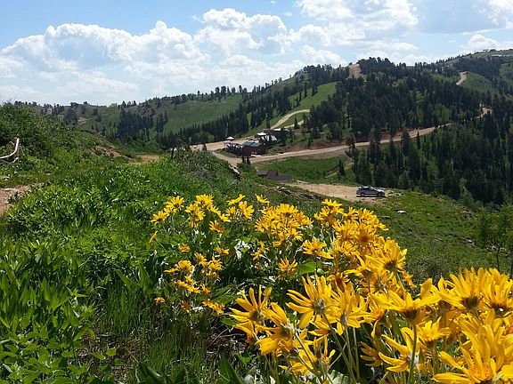Spring Time at Powder Mt.