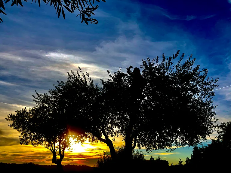 Epic Sunsets