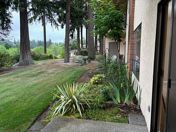 View out the back door