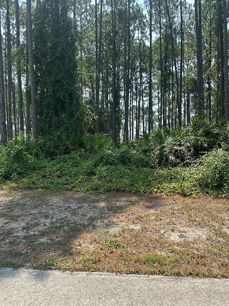 170 Royal Tern Way — St. James Bay Golf Club