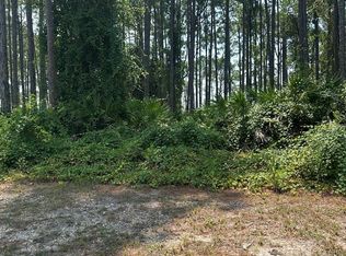 170 Royal Tern Way, Carrabelle, FL 32322