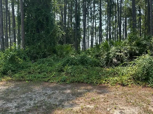 170 Royal Tern Way, Carrabelle, FL 32322