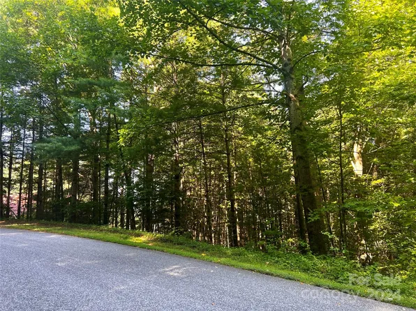 16 Red Fox Ln, Brevard, NC 28712