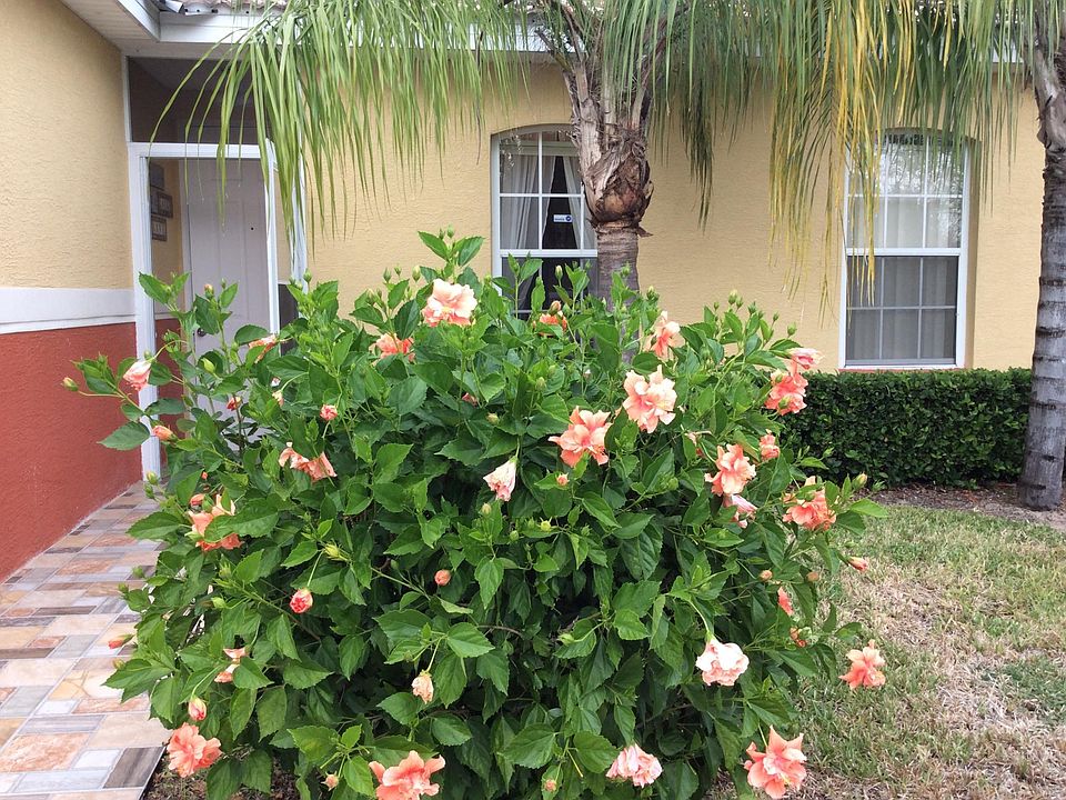 1st image of 161 Ocean Bluff Dr #161