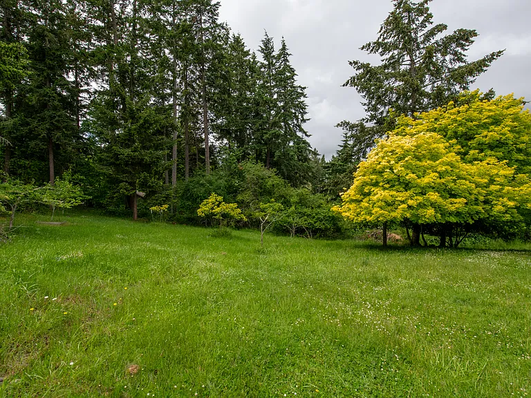 Side Yard 2