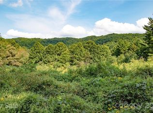 6200 Meadow Fork Rd, Hot Springs, NC 28743