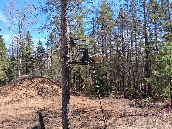 5th image of 3563 Spring Dr