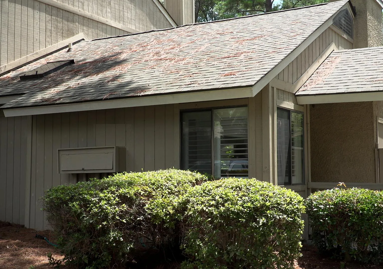 5 Gum Tree Rd — Photo 1
