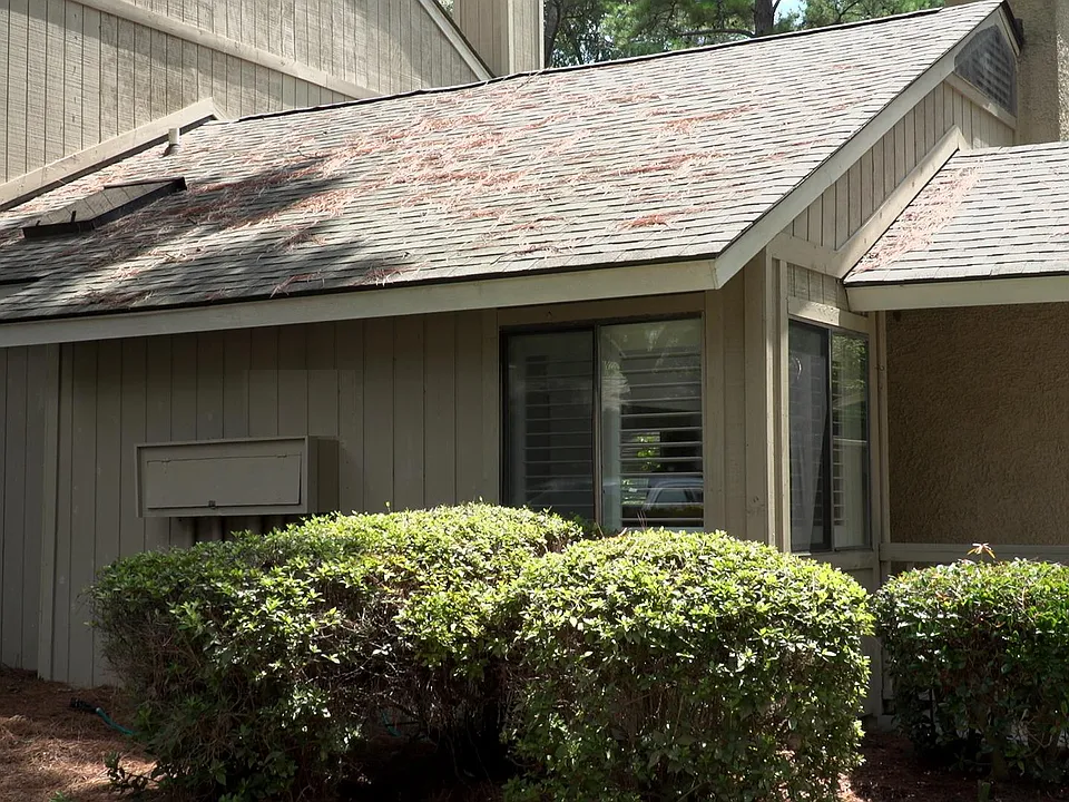 5 Gum Tree Rd #D4