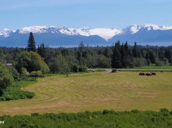 56911 Stormy Petrel Ct, Homer, AK 99603
