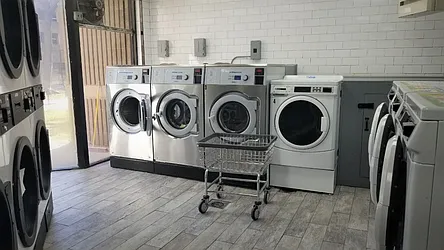 Rented by Area New York