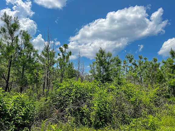 5th image of Firetower Rd