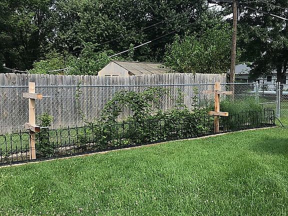 60' of berries and asparagus