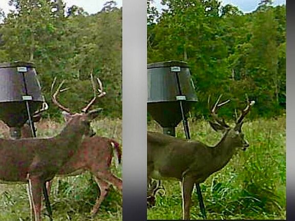5th image of 0 Haynes Cemetery Rd Tract 1