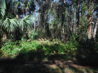 637 Walnut St, Welaka, FL 32193