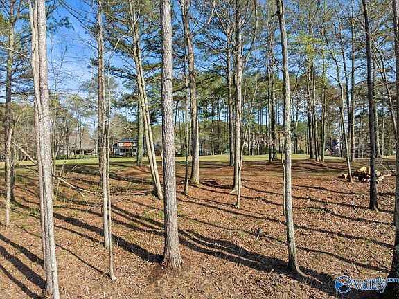 5th image of 224 Woodmont Dr