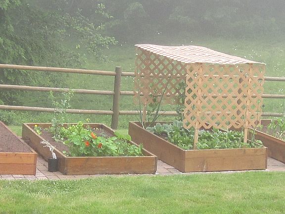 Raised Bed Garden