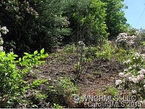 2nd image of L 11 Rich Mountain Knob Rd