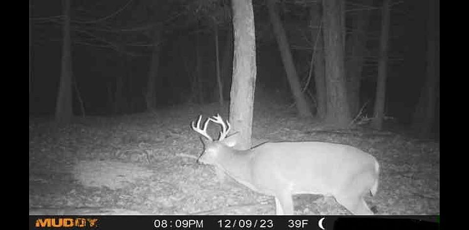 2nd image of 15 Route 37 E