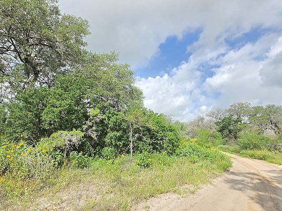 4th image of 289 ZIGMOND RD