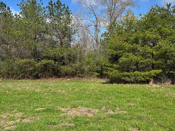 2nd image of 35729 Hesters Store Rd