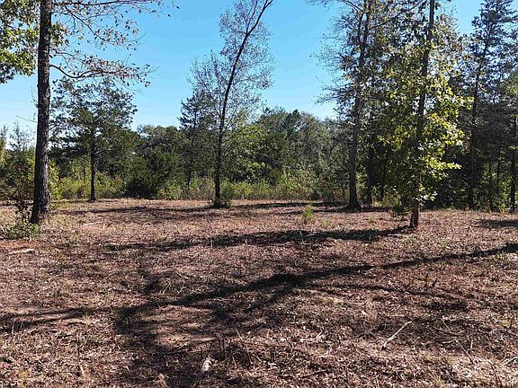 5th image of Polk Rd #676