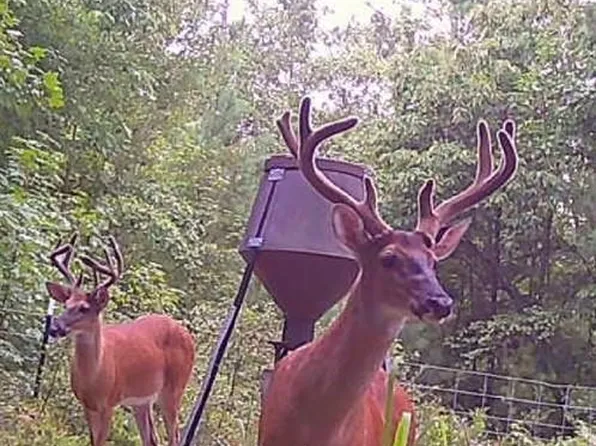 1530 Old Middleton Rd, Elberton, GA 30635