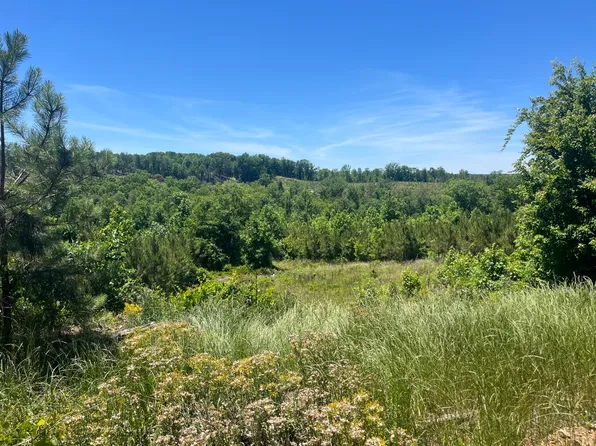 0 County Road 42, Hamilton, AL 35570