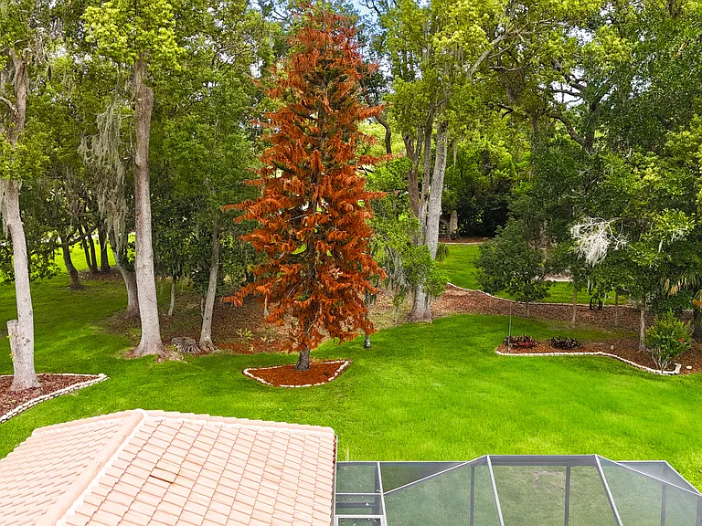 12649 Oak Hollow Ct — Photo 53