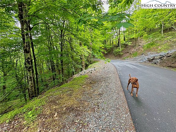 3rd image of TBD Alpine Drive