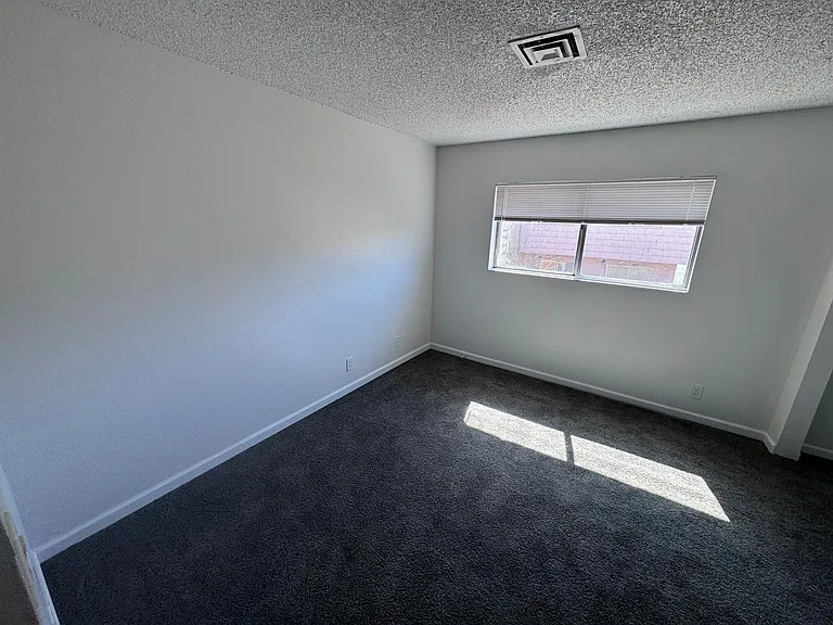 5245 Golden Ln — Photo 11