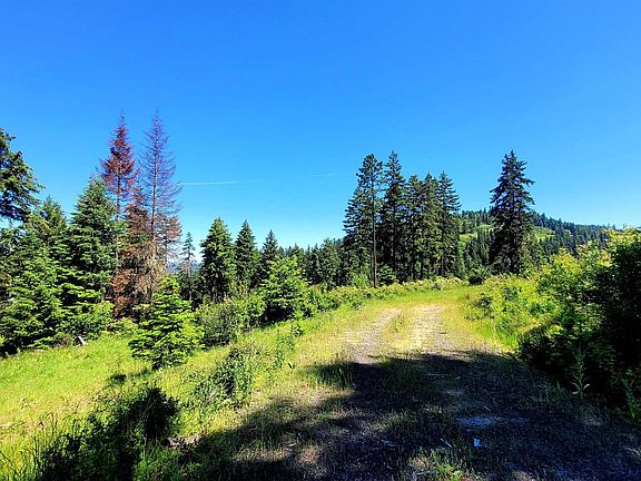 3rd image of 1337 Tie Creek Dr