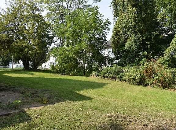 back yard
