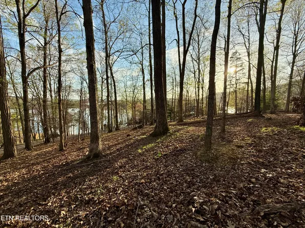 1522 Catoosa Dr, Mooresburg, TN 37811