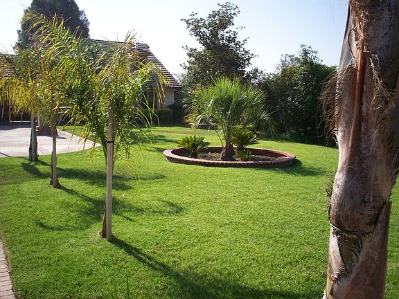 Manicured lawn