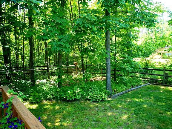 Backyard from deck