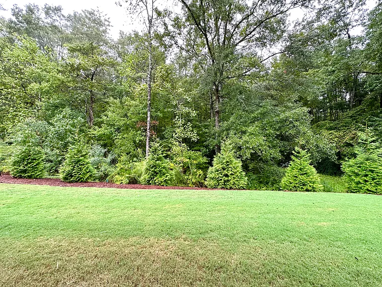 Back yard views from covered patio