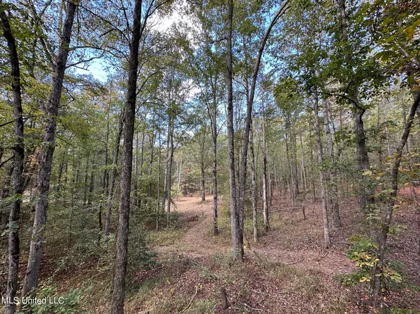 2 Whalen Rd, Carthage, MS 39051