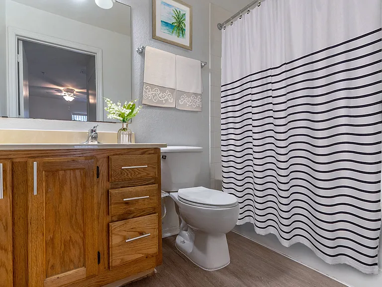 Modern Bath with Shower Tub Combo