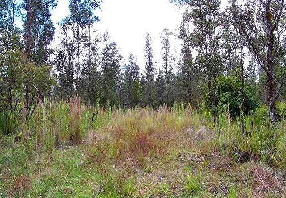  Across the street parcel.